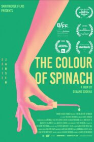 The Colour Of Spinach 2021 on netflix