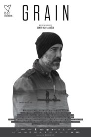 Buğday 2017 on netflix