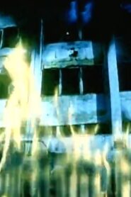 Black Kites 1996 on netflix