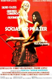 Sócias do Prazer 1980 on netflix