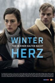 Winterherz: Tod in einer kalten Nacht 2018 on netflix