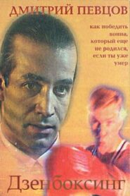 Zenboxing 1998 on netflix