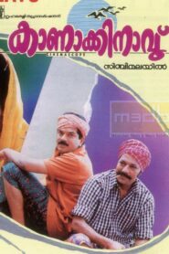 Kanakkinavu 1996 on netflix