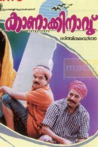Kanakkinavu 1996 on netflix