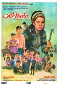 อย่าดีกว่า 1983 on netflix