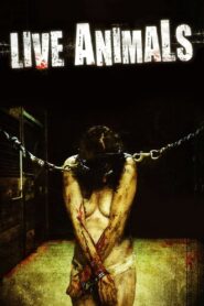 Live Animals 2008 on netflix