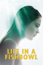 Life in a Fishbowl 2014 on netflix