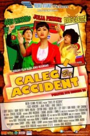 Caleg By Accident 2014 on netflix