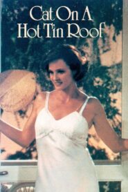 Cat on a Hot Tin Roof 1984 on netflix