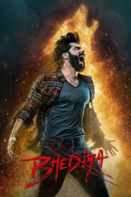 Bhediya 2022 on netflix