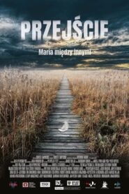 The Passage 2021 on netflix