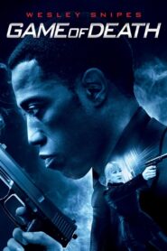Game of Death 2011 on netflix