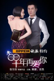 痒婚之十年再爱你 2013 on netflix