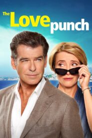 The Love Punch 2014 on netflix