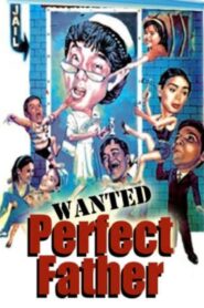 Wanted: Perfect Father 1995 on netflix