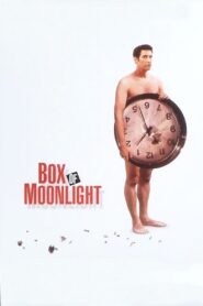 Box of Moonlight 1996 on netflix