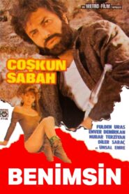 Benimsin 1987 on netflix