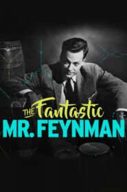 The Fantastic Mr Feynman 2013 on netflix