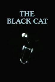 The Black Cat 1995 on netflix