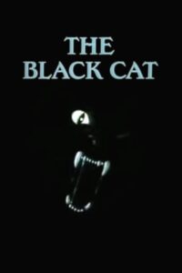 The Black Cat 1995 on netflix
