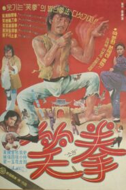 Battle with Top-Class Samuri 1980 on netflix