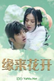 缘来花开 2015 on netflix