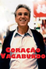 Wandering Heart 2009 on netflix