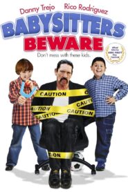 Babysitters Beware 2009 on netflix