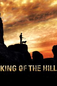 The King of the Hill 2008 on netflix