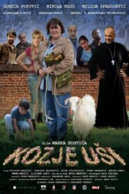 Out of the Woods 2017 on netflix