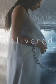 Delivered 2020 on netflix