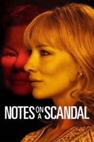 Notes on a Scandal 2006 on netflix