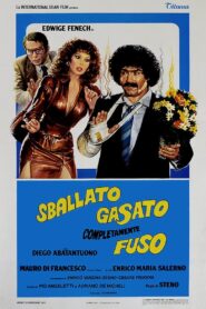 An Ideal Adventure 1982 on netflix