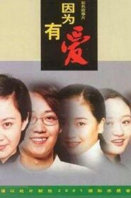 因为有爱 2001 on netflix