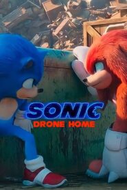 Sonic Drone Home 2022 on netflix