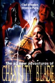 The All New Adventures of Chastity Blade 2000 on netflix