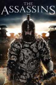 The Assassins 2012 on netflix