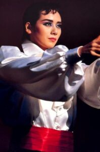 The Red and the Black 1990 on netflix