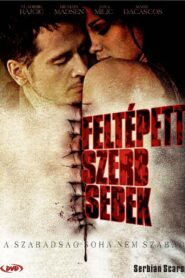 Serbian Scars 2009 on netflix