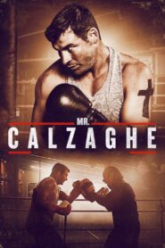 Mr. Calzaghe 2015 on netflix
