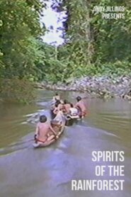 Spirits of The Rainforest 1993 on netflix