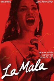 The Bad Girl 2008 on netflix