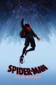 Spider-Man: Into the Spider-Verse 2018 on netflix