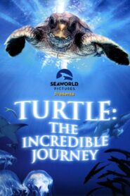 Turtle: The Incredible Journey 2009 on netflix