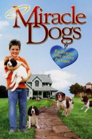Miracle Dogs 2003 on netflix