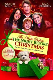 The Night Before the Night Before Christmas 2010 on netflix