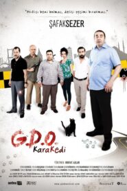 G.D.O. KaraKedi 2013 on netflix
