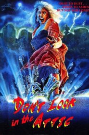 Don’t Look in the Attic 1982 on netflix