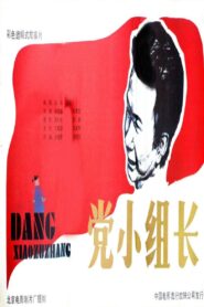 党小组长 1986 on netflix