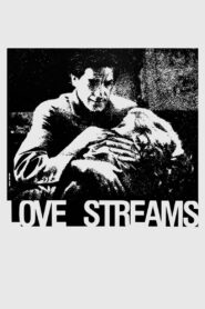 Love Streams 1984 on netflix